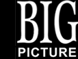 Big Picture Research and Planning logo