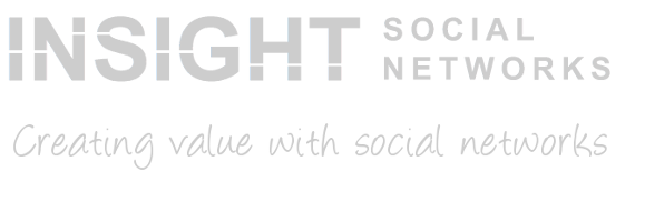 Insight Social Networks logo