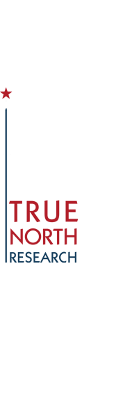 True North Research logo