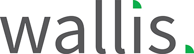 Wallis Social Research logo